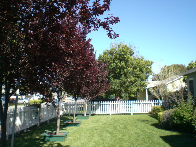 3216 Riddle Road San Jose, CA 95117 - Photo 2 of 25 Gallery Image 2