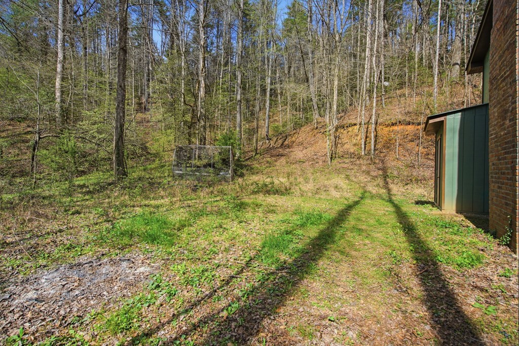 1780 Conasauga Road Ellijay, GA 30540 - Photo 42 of 43 Gallery Image 42