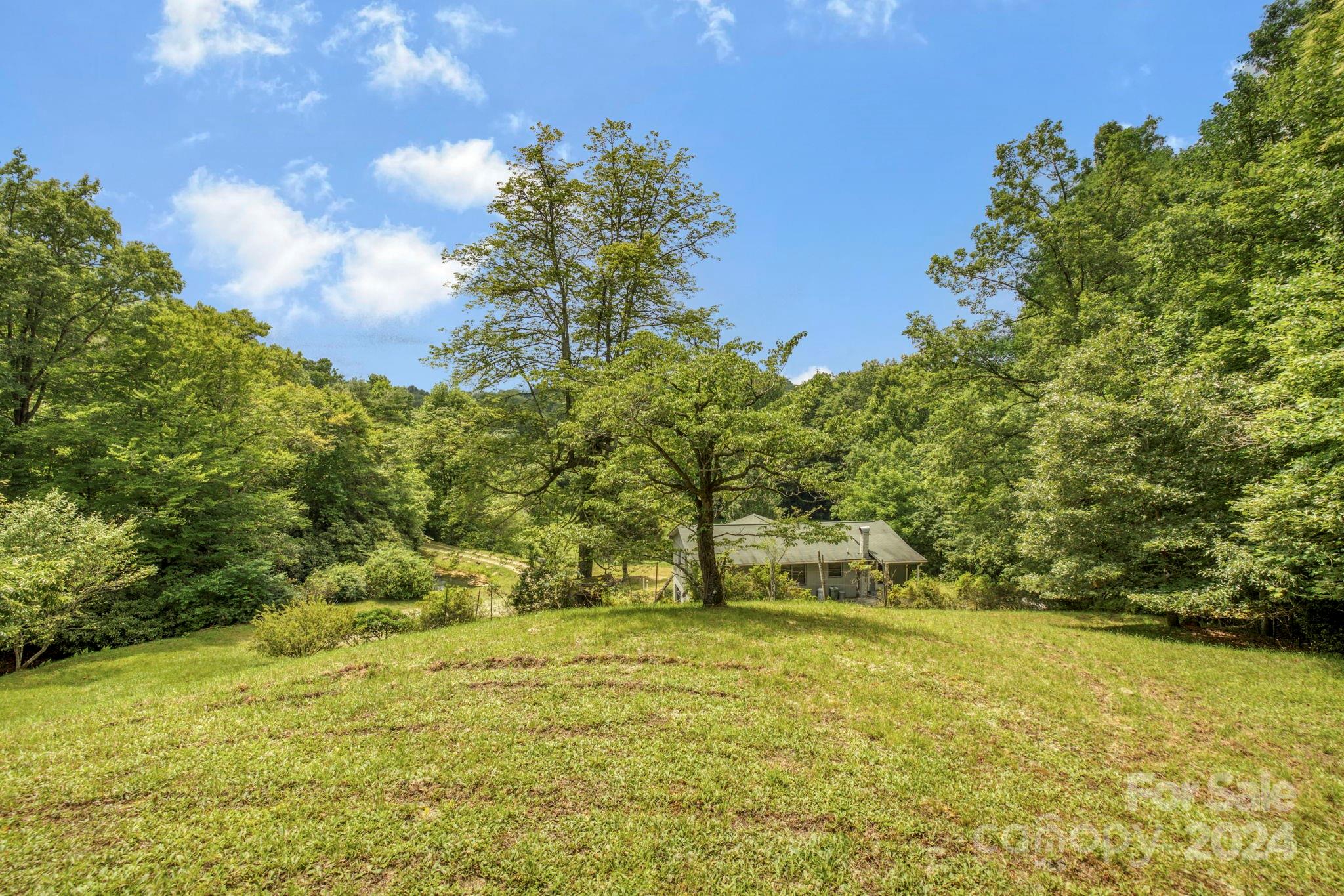 45 Chestnut Cove Road Brevard, NC 28712 - Photo 28 of 47 Gallery Image 28