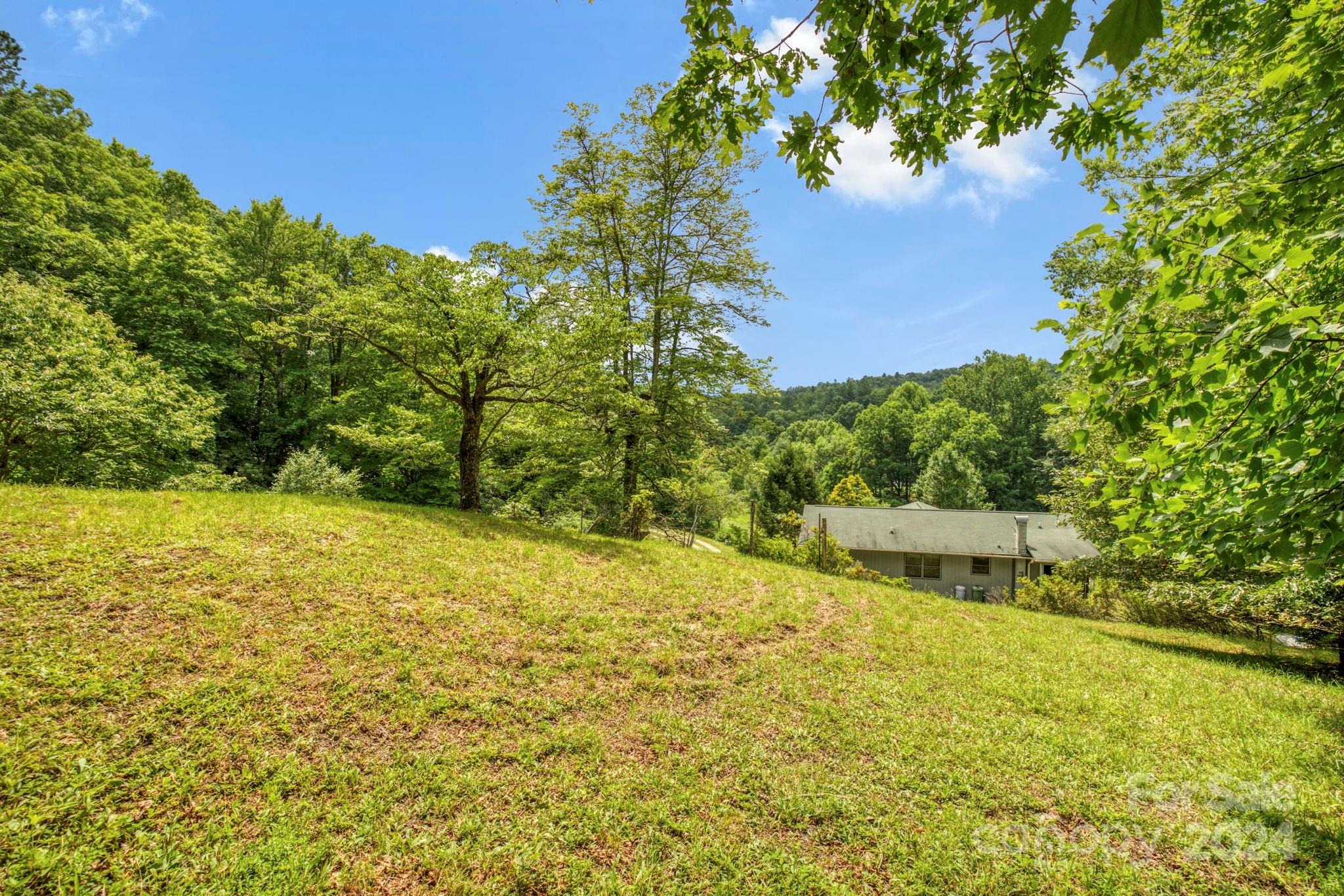 45 Chestnut Cove Road Brevard, NC 28712 - Photo 29 of 47 Gallery Image 29