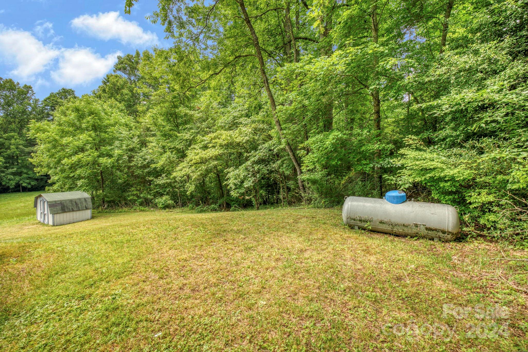 45 Chestnut Cove Road Brevard, NC 28712 - Photo 30 of 47 Gallery Image 30
