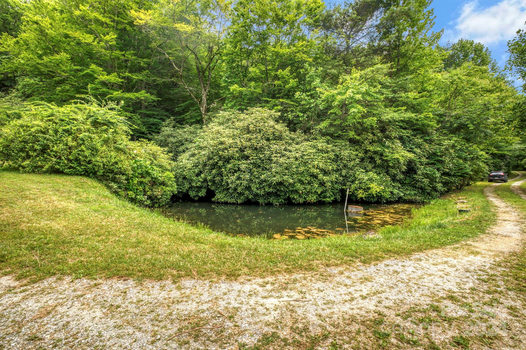 45 Chestnut Cove Road Brevard, NC 28712 - Photo 32 of 47 Gallery Image 32