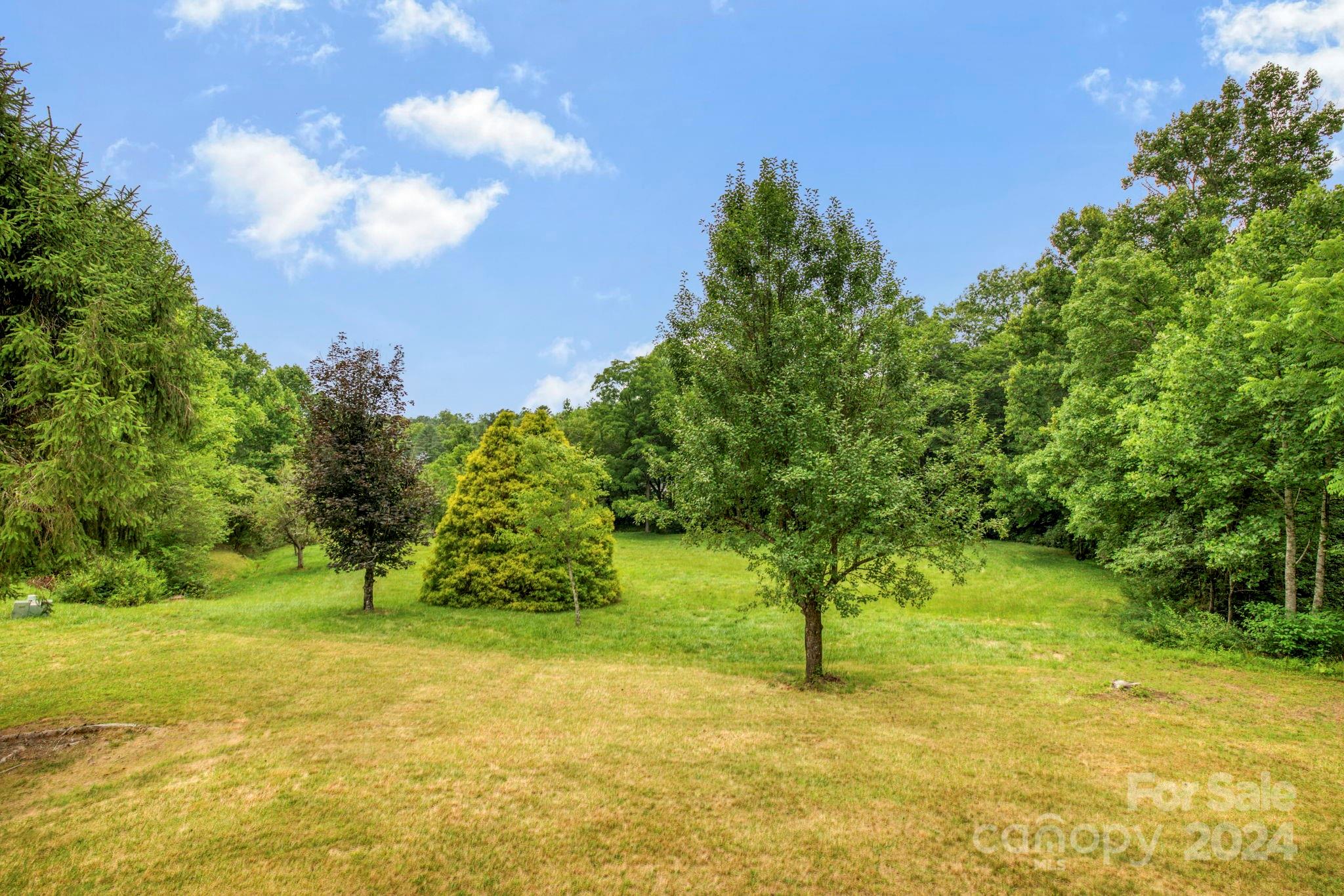 45 Chestnut Cove Road Brevard, NC 28712 - Photo 37 of 47 Gallery Image 37