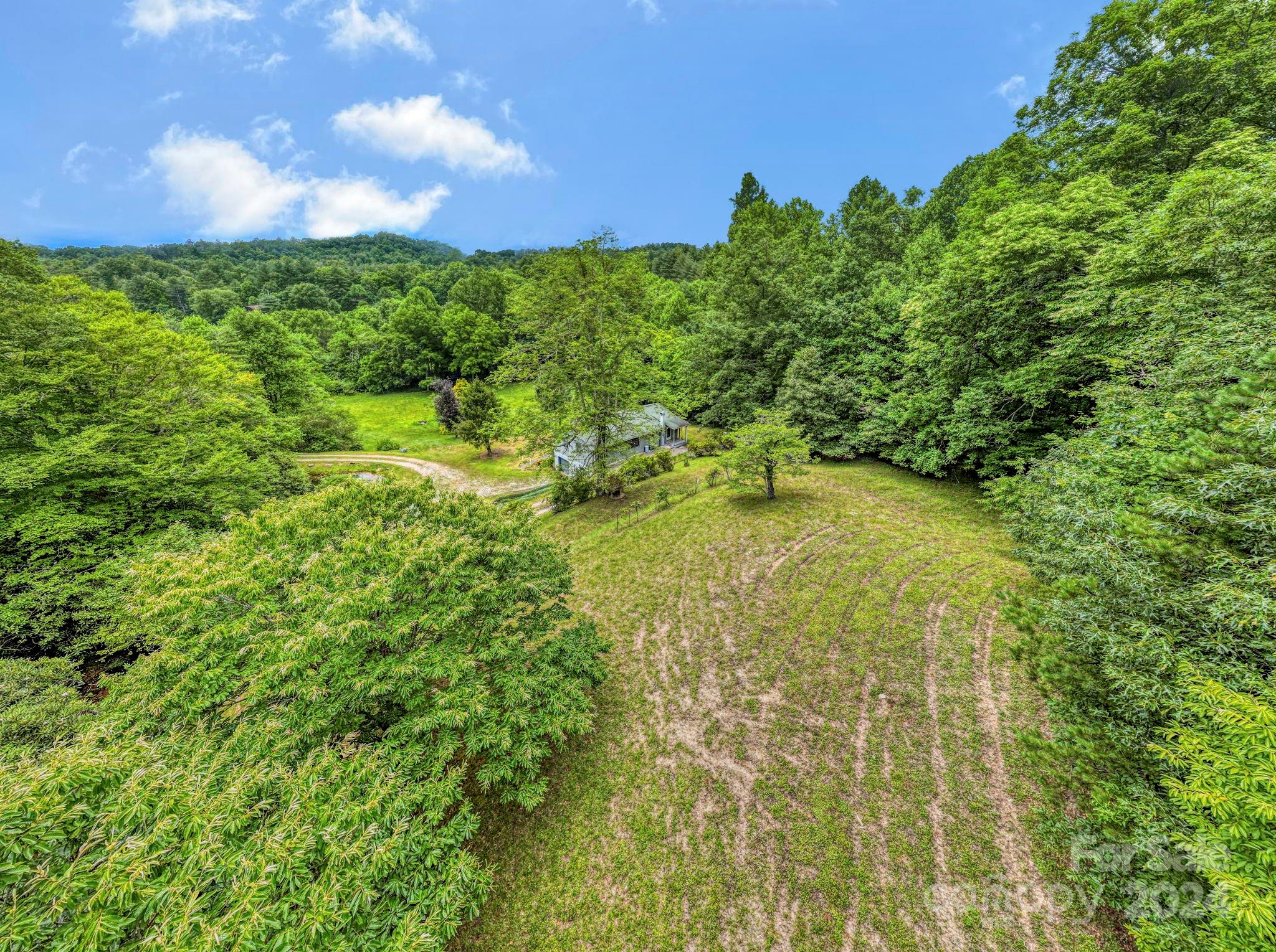 45 Chestnut Cove Road Brevard, NC 28712 - Photo 41 of 47 Gallery Image 41