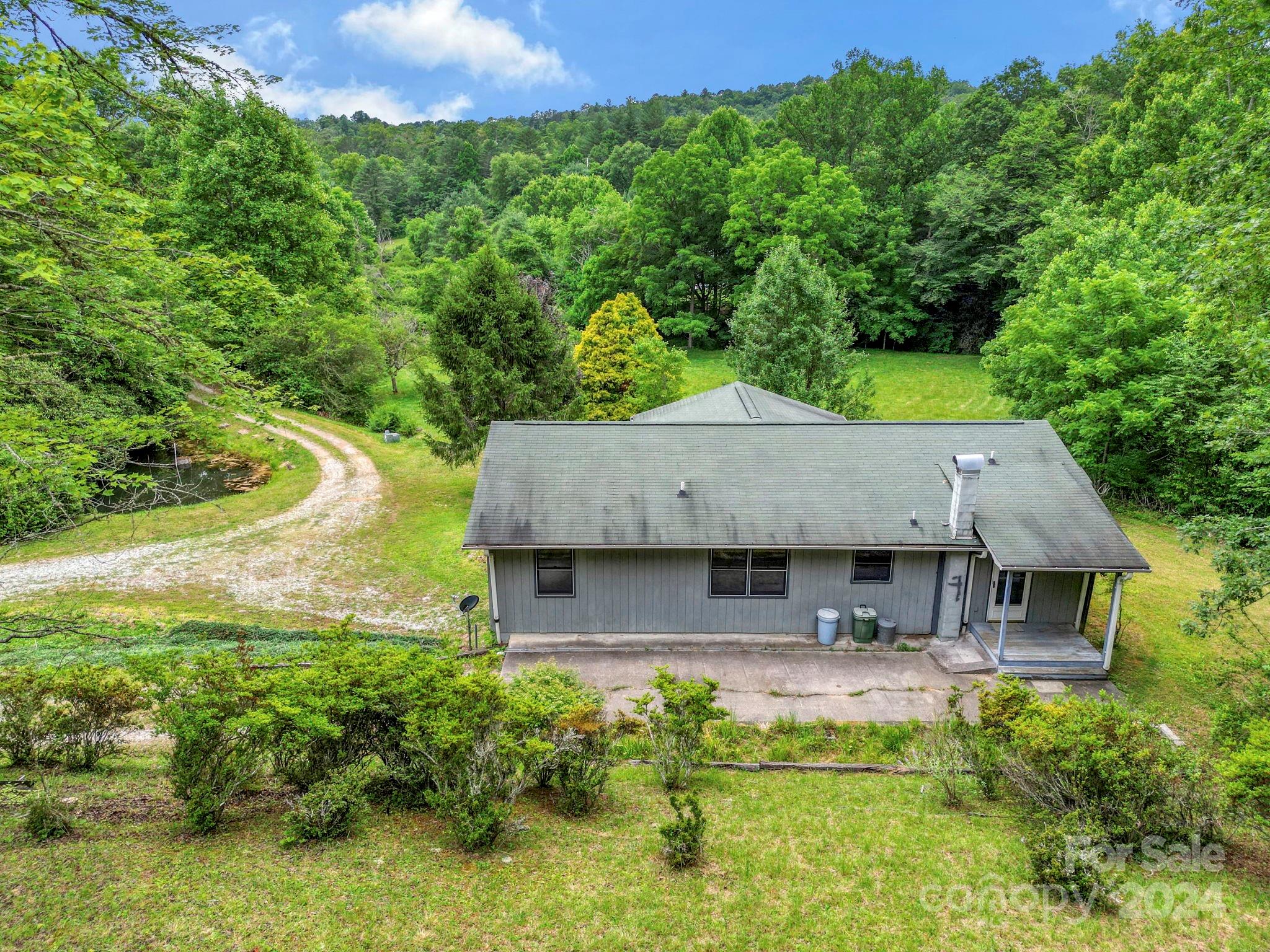45 Chestnut Cove Road Brevard, NC 28712 - Photo 5 of 47 Gallery Image 5