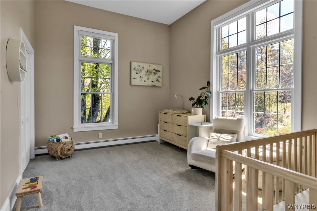 4492 Haag Road Eden, NY 14057 - Photo 45 of 50