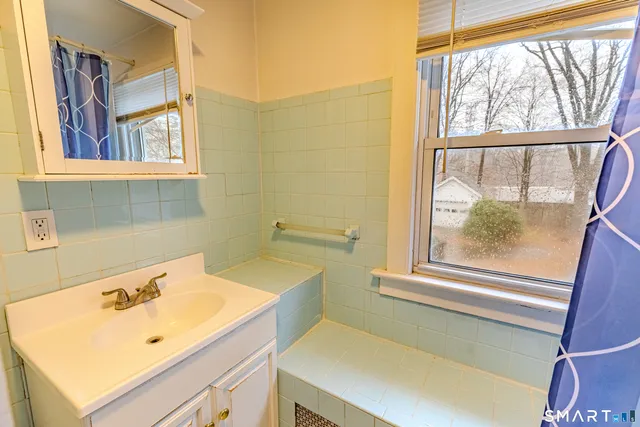 a bathroom with a sink and a bathtub