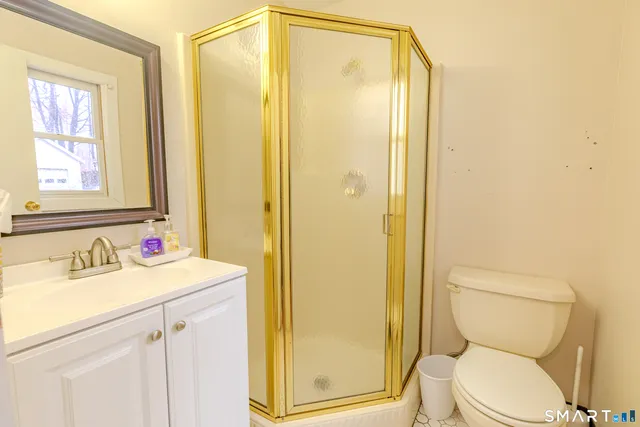 a bathroom with a sink mirror vanity and toilet