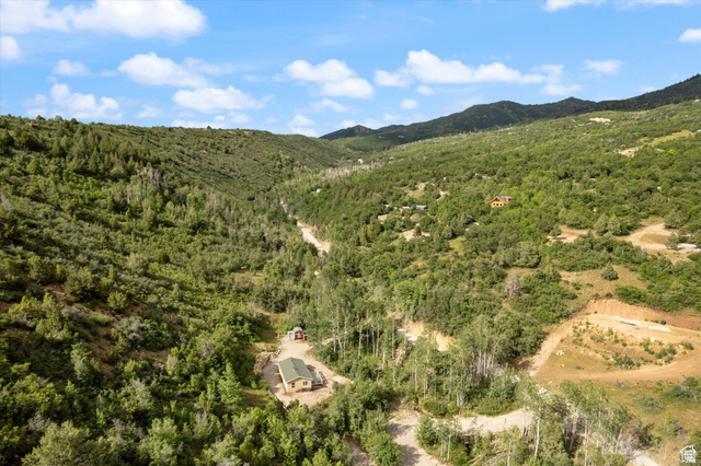19845 North 14070 (north Fork Rd) Road East, Unit 313 Mount Pleasant, UT 84647 - Photo 35 of 39 Mountain view with a heavily wooded area.