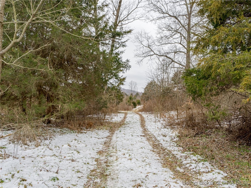 South Wilson Road Campbellsburg, IN 47108 - Photo 39 of 77 Gallery Image 39