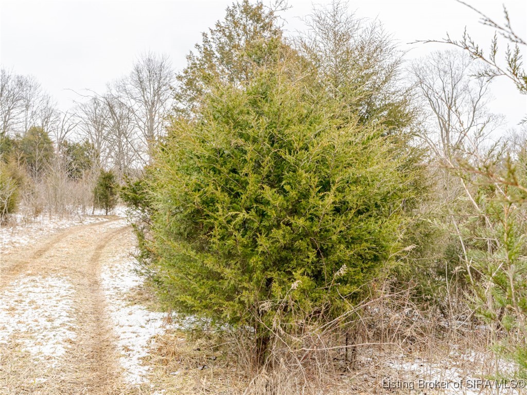 South Wilson Road Campbellsburg, IN 47108 - Photo 45 of 77 Gallery Image 45