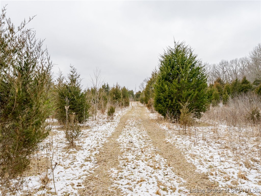 South Wilson Road Campbellsburg, IN 47108 - Photo 46 of 77 Gallery Image 46
