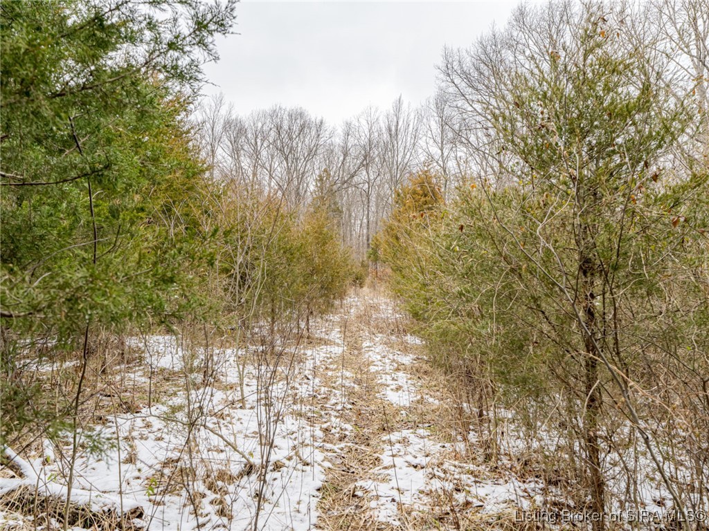 South Wilson Road Campbellsburg, IN 47108 - Photo 57 of 77 Gallery Image 57