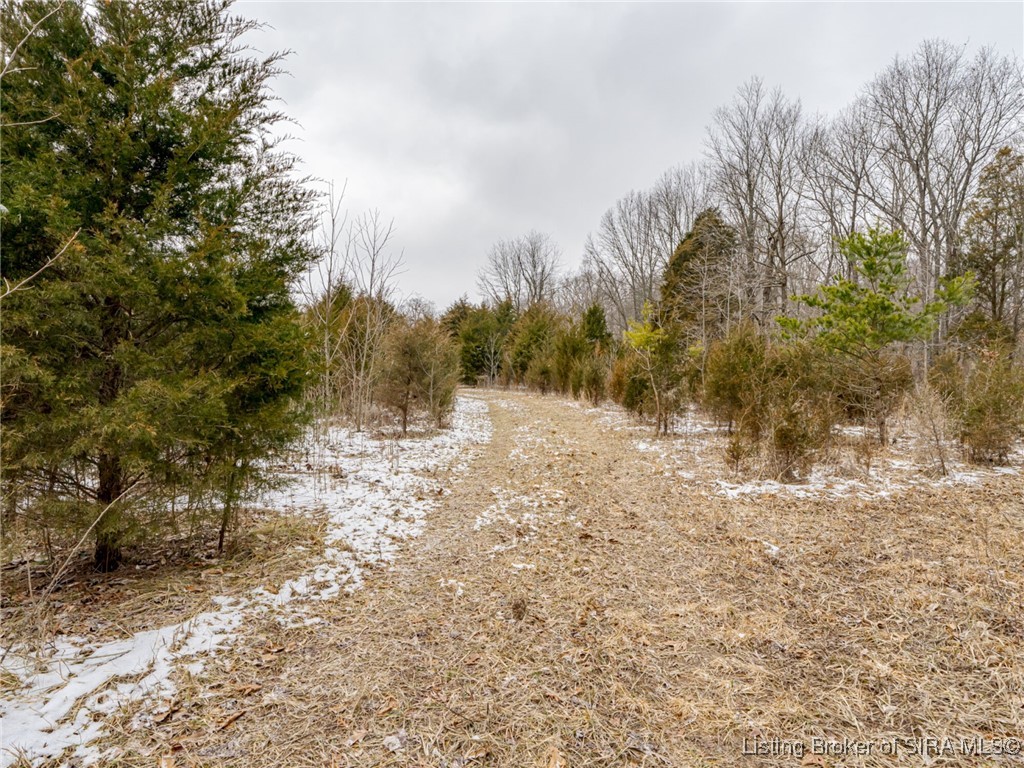 South Wilson Road Campbellsburg, IN 47108 - Photo 58 of 77 Gallery Image 58