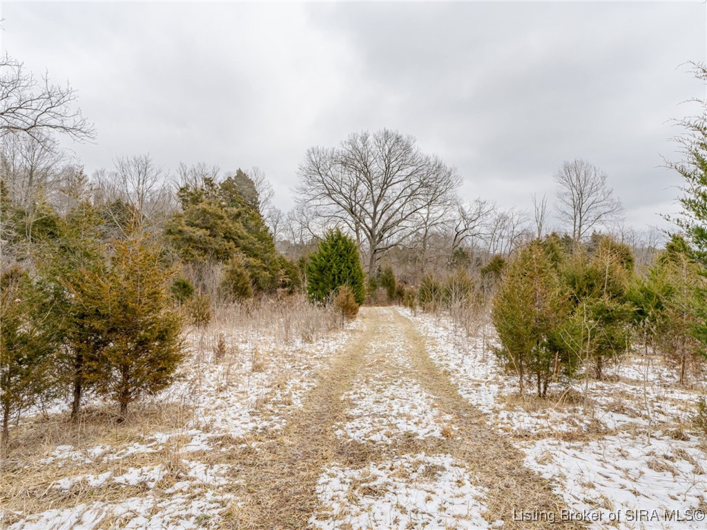 South Wilson Road Campbellsburg, IN 47108 - Photo 66 of 77 Gallery Image 66