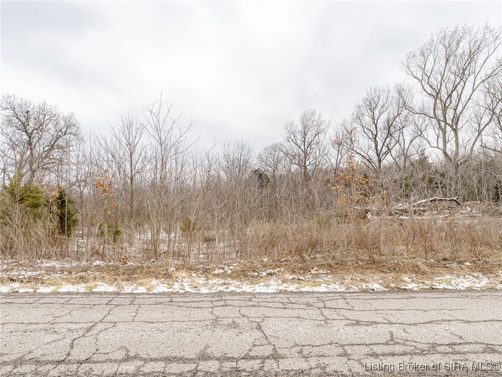 South Wilson Road Campbellsburg, IN 47108 - Photo 75 of 77 Gallery Image 75