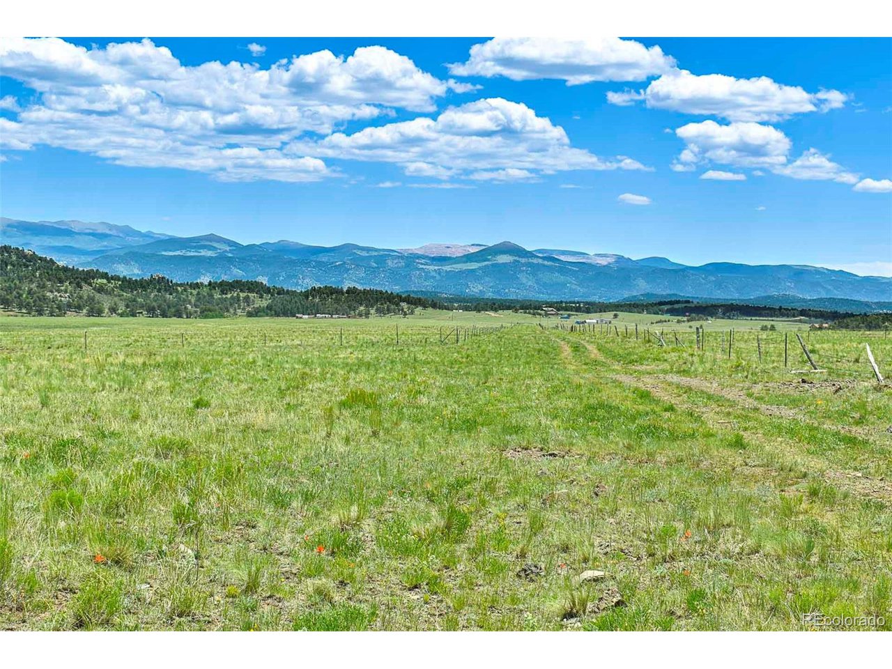 63 County Road Guffey, CO 80820 - Photo 17 of 35 Gallery Image 17