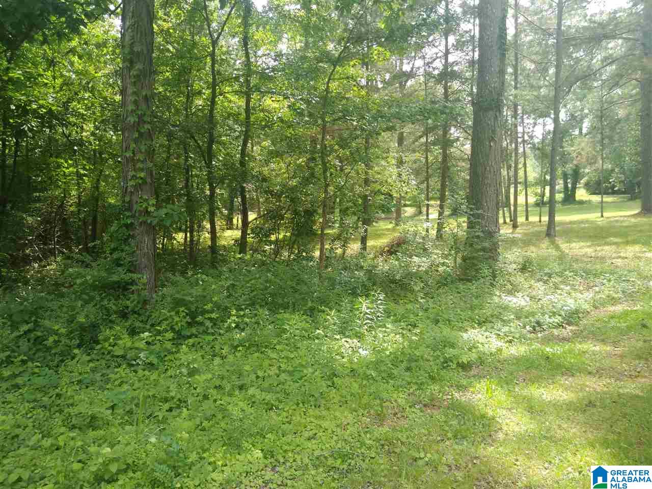 7153 Self Road, Unit 16 000 Pinson, AL 35126 - Photo 19 of 31
