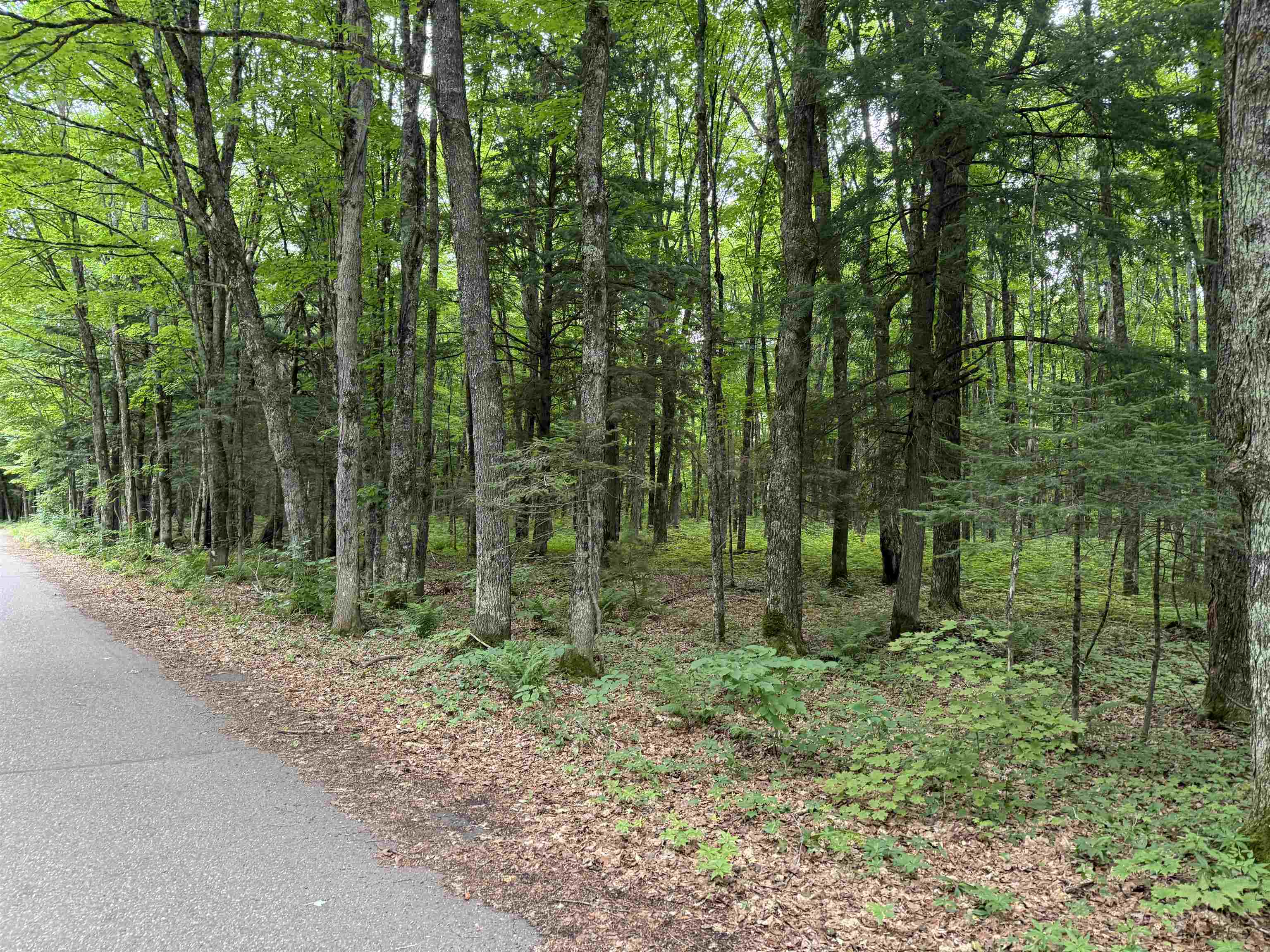 25-a Bearskull Road Park Falls, WI 54552 - Photo 1 of 1