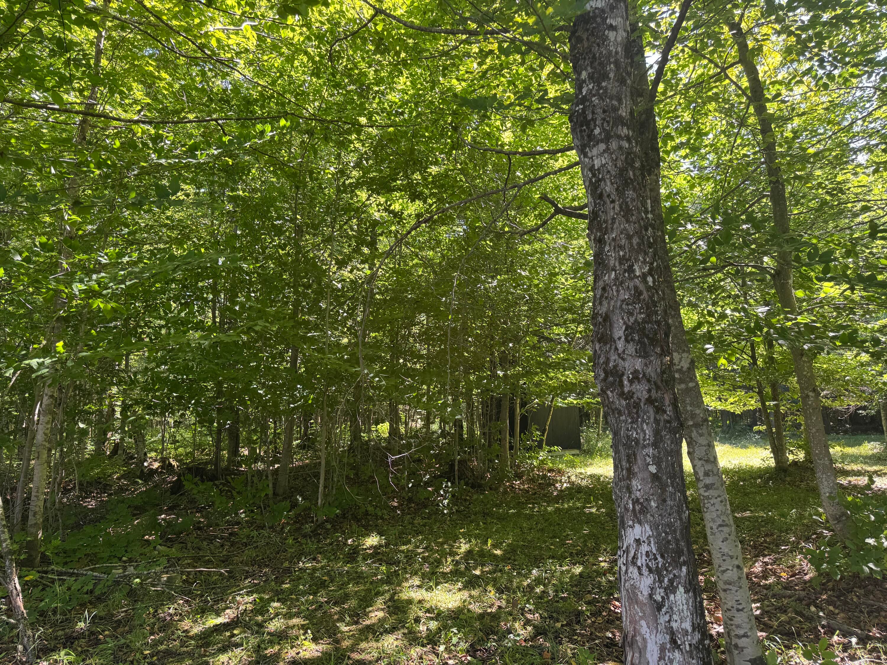 W14871 Sandtown Road Engadine, MI 49827 - Photo 32 of 47 Gallery Image 32