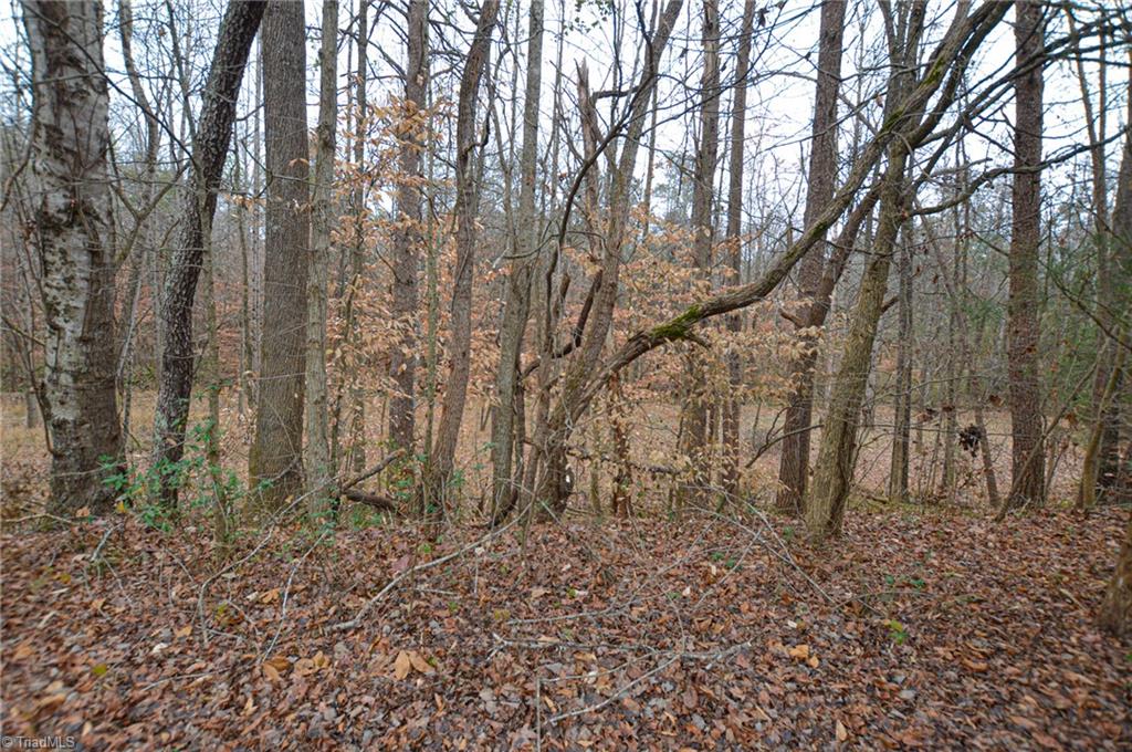 235 High Meadows Road Advance, NC 27006 - Photo 40 of 45