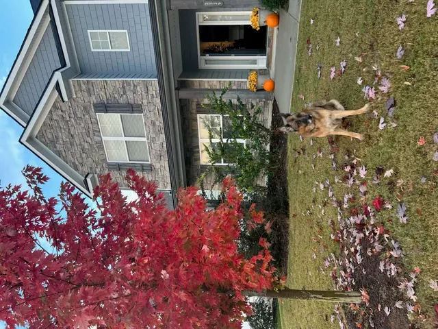 $679,900 | 3329 Prairie Range Lane, Apison, TN 37302