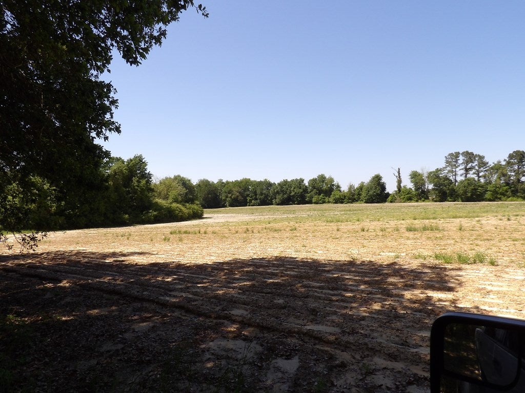 0 Mount Zion Church Road Pelham, GA 31779 - Photo 2 of 2 Gallery Image 2
