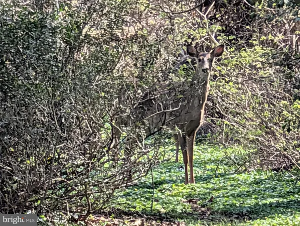 $200,000 | Copley Lane, Silver Spring, MD 20904