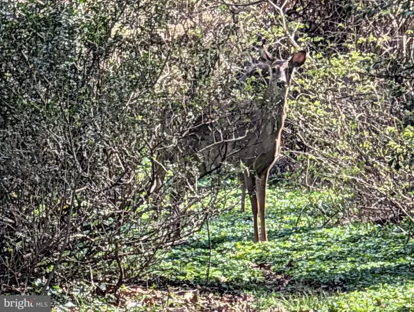 $200,000 | Copley Lane, Silver Spring, MD 20904