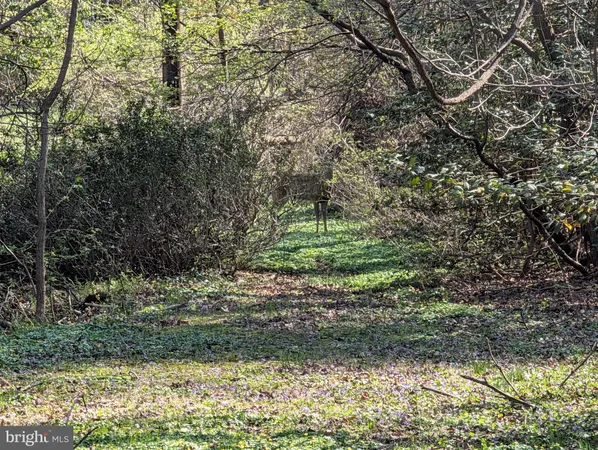 $200,000 | Copley Lane, Silver Spring, MD 20904