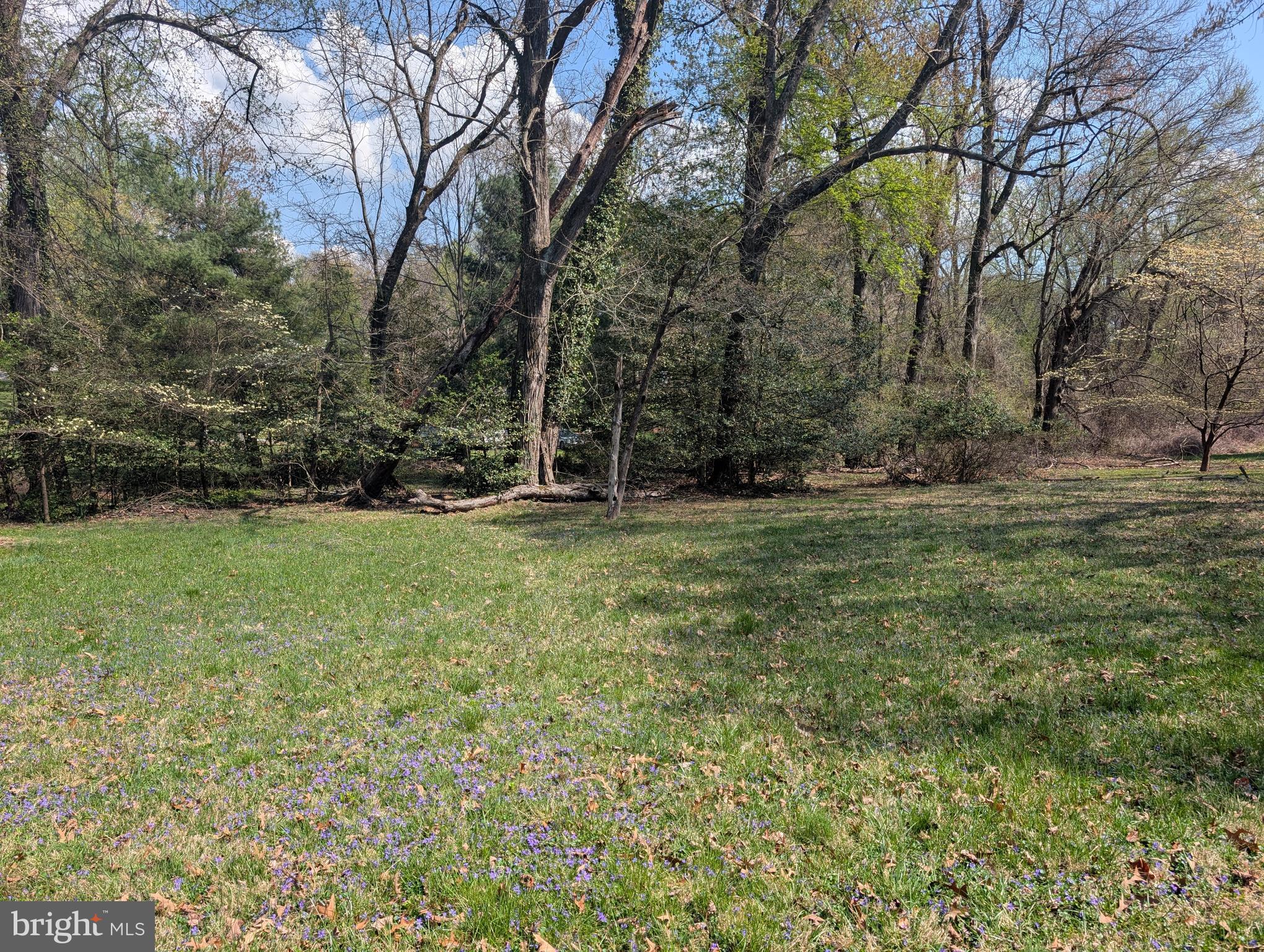 Copley Lane Silver Spring, MD 20904 - Photo 17 of 17