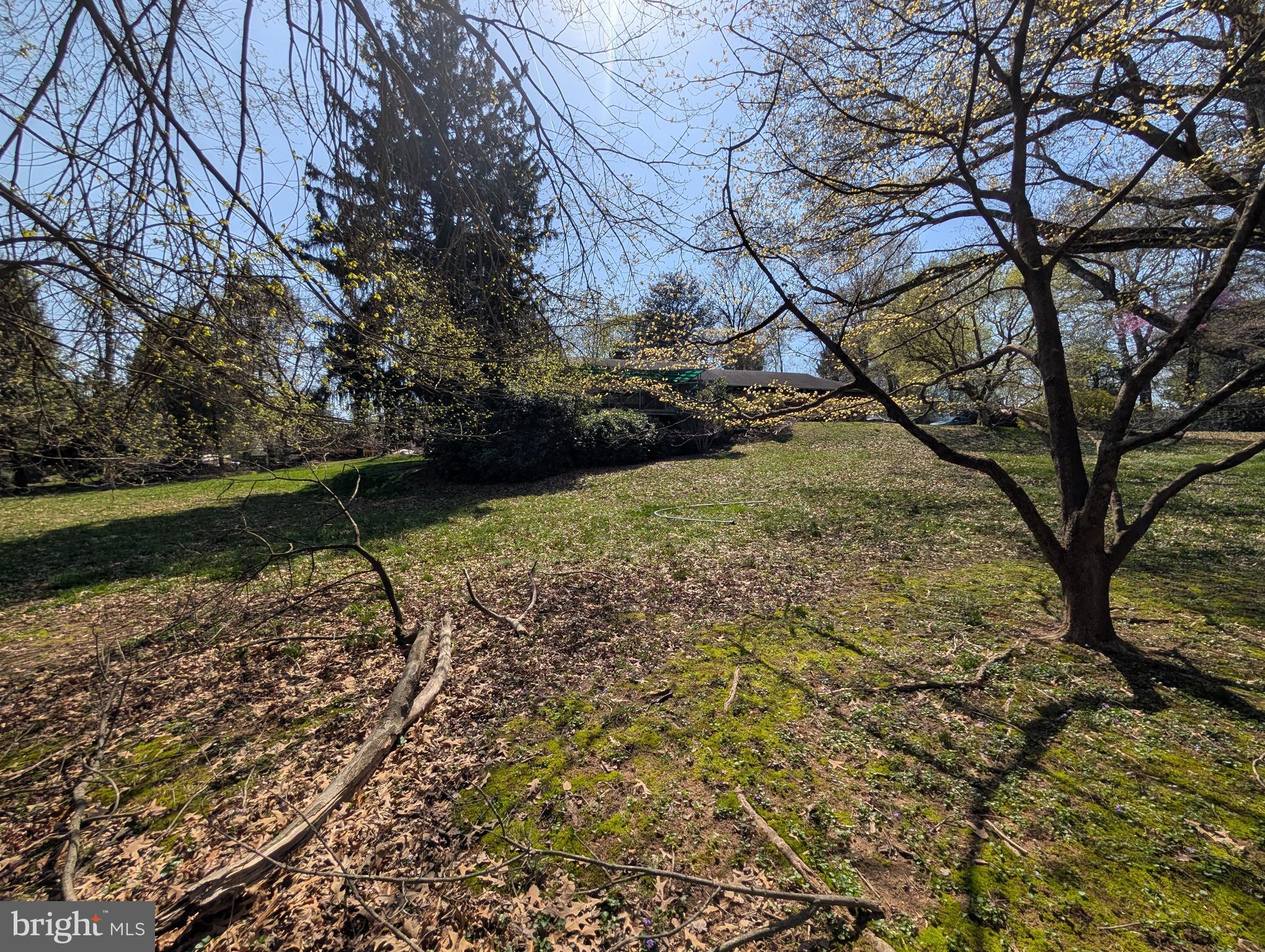 Copley Lane Silver Spring, MD 20904 - Photo 8 of 17