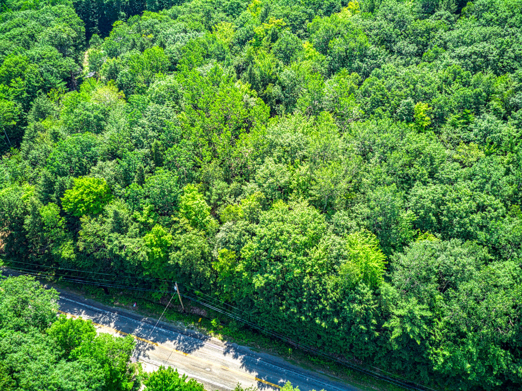 Lot 72 Litchfield Road Wales, ME 04280 - Photo 7 of 13 DJI_0182