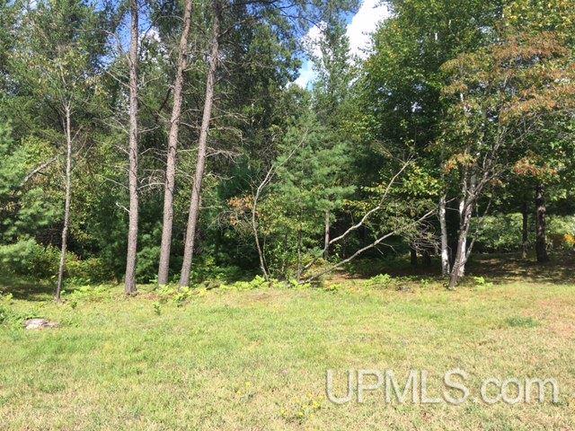 Tbd Ellsworth Street Ishpeming, MI 49849 - Photo 1 of 3