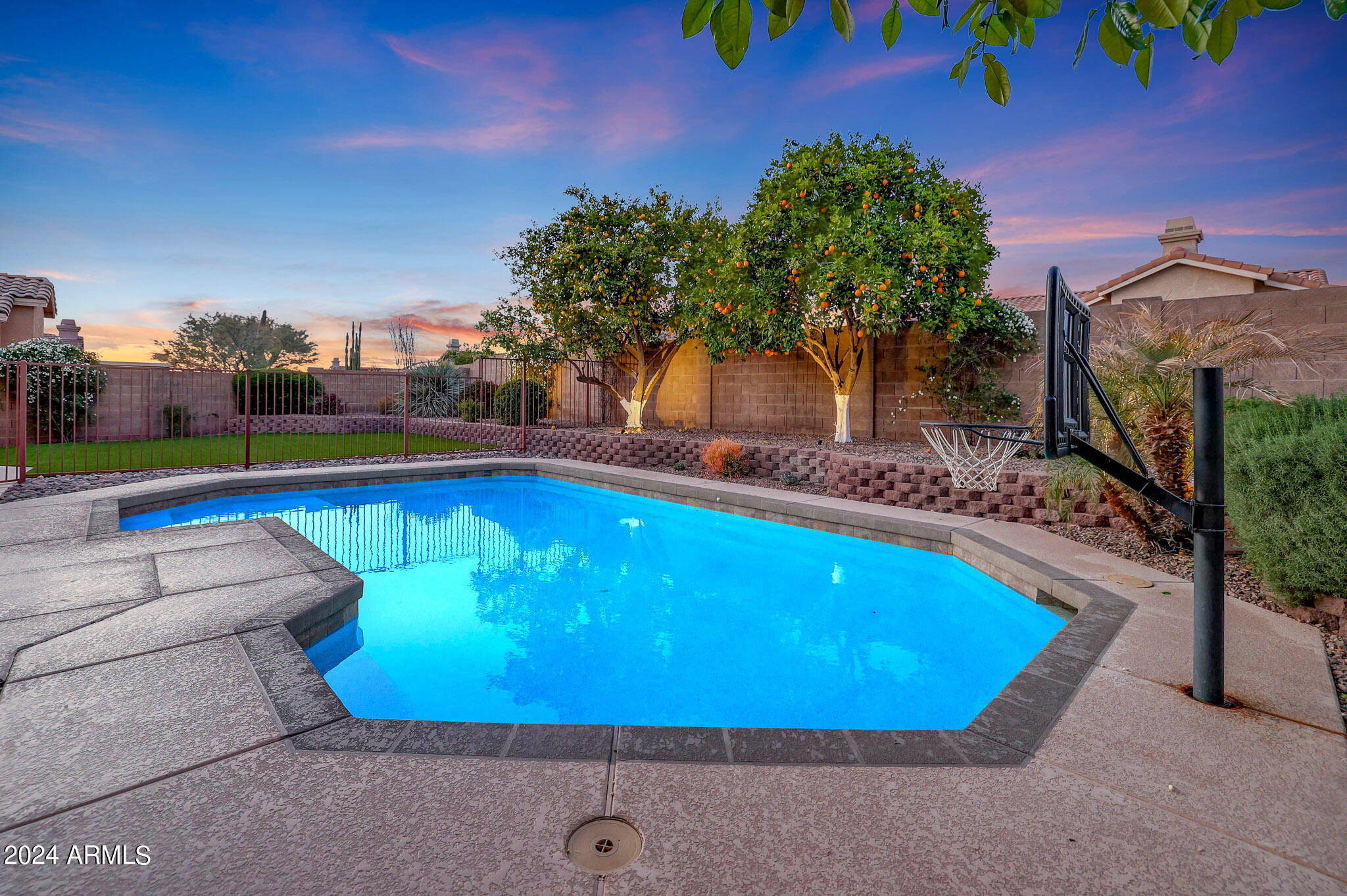 4320 East Swilling Road Phoenix, AZ 85050 - Photo 36 of 39 Backyard