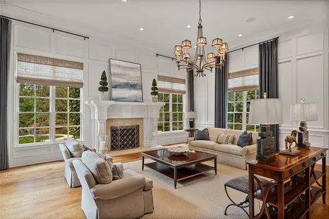 a living room with furniture a fireplace and a potted plant