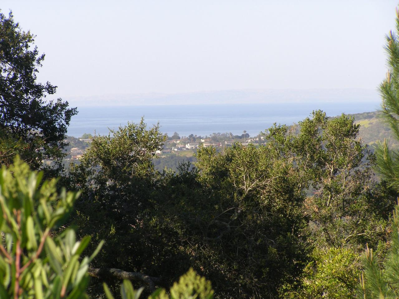 Ocean/Island Views