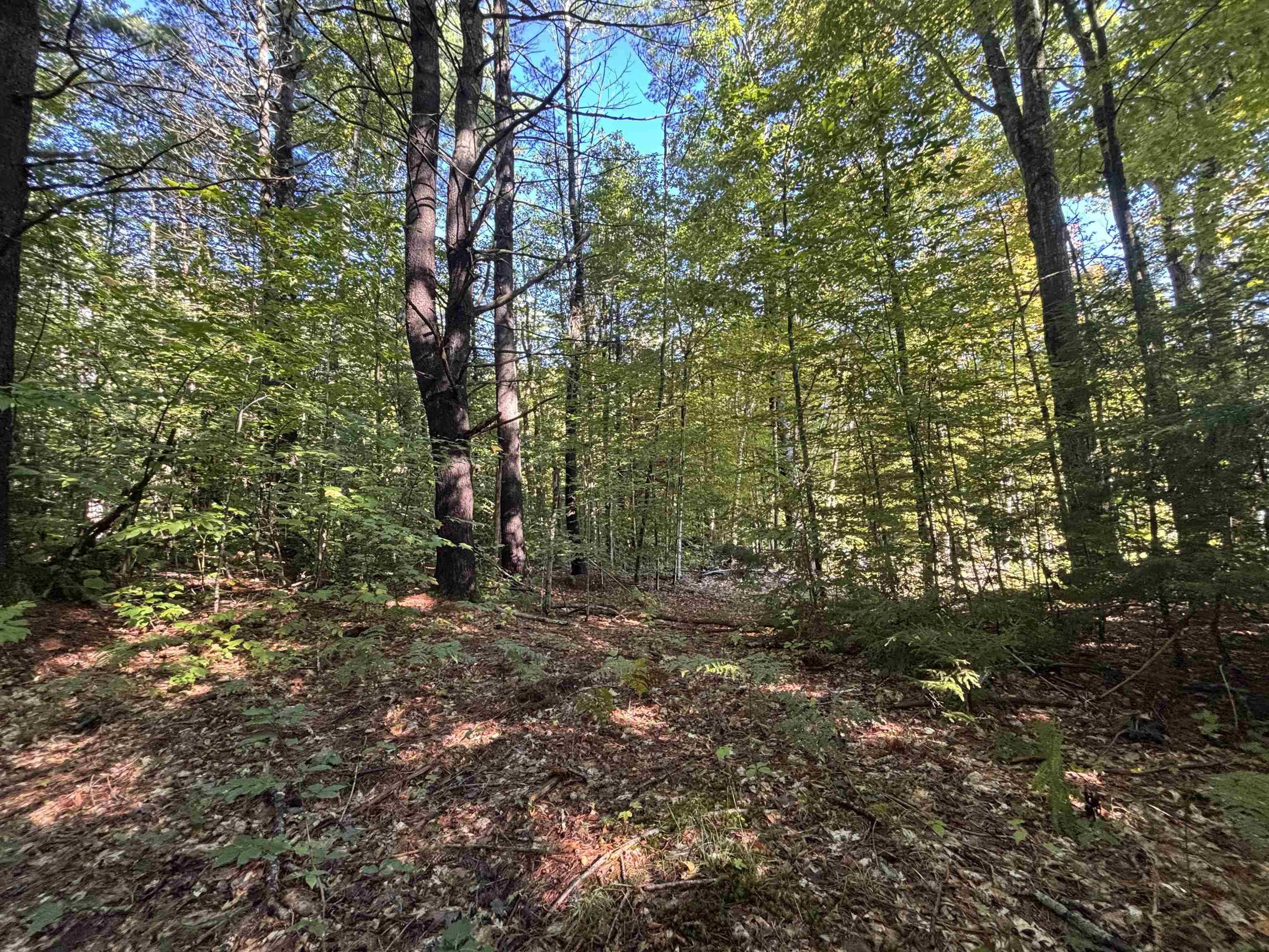 0 Cutoff Road Sanbornton, NH 03269 - Photo 4 of 10 Gallery Image 4