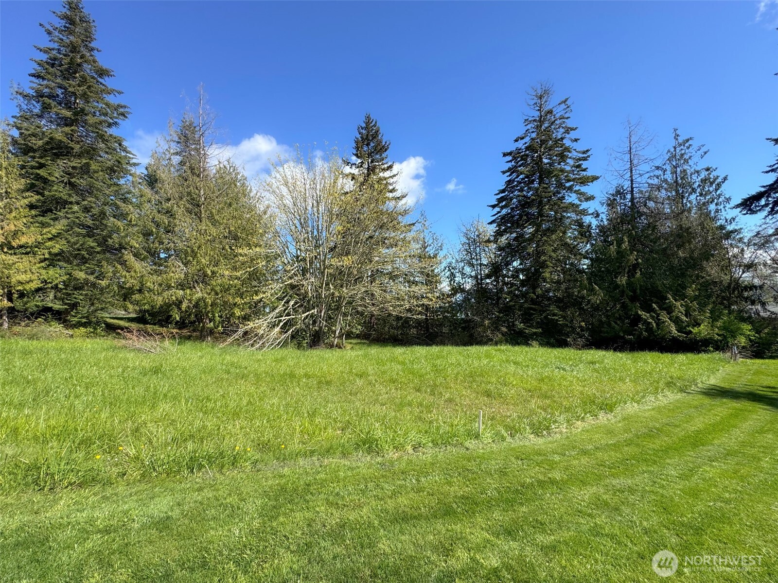 9999 Elk Pass Road Sequim, WA 98382 - Photo 11 of 40 a view of a big yard with plants and large trees