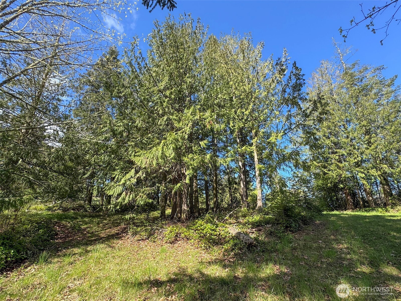 9999 Elk Pass Road Sequim, WA 98382 - Photo 15 of 40 a view of a yard