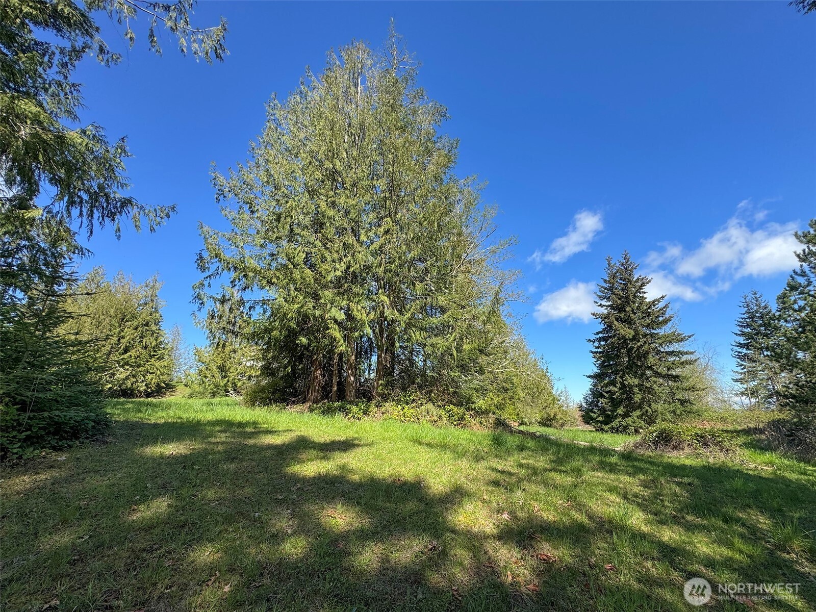 9999 Elk Pass Road Sequim, WA 98382 - Photo 16 of 40