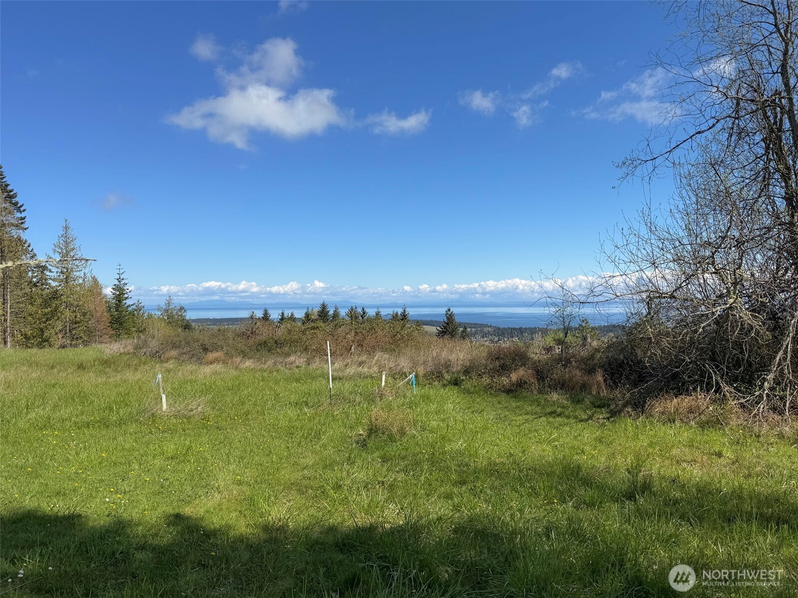 9999 Elk Pass Road Sequim, WA 98382 - Photo 22 of 40 a view of a lake and mountain view