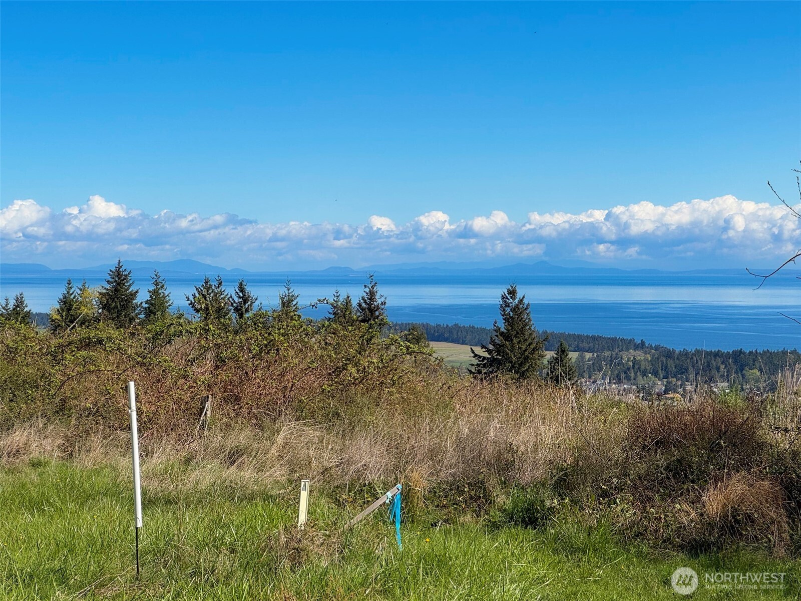 9999 Elk Pass Road Sequim, WA 98382 - Photo 23 of 40 a view of a lake in middle of forest