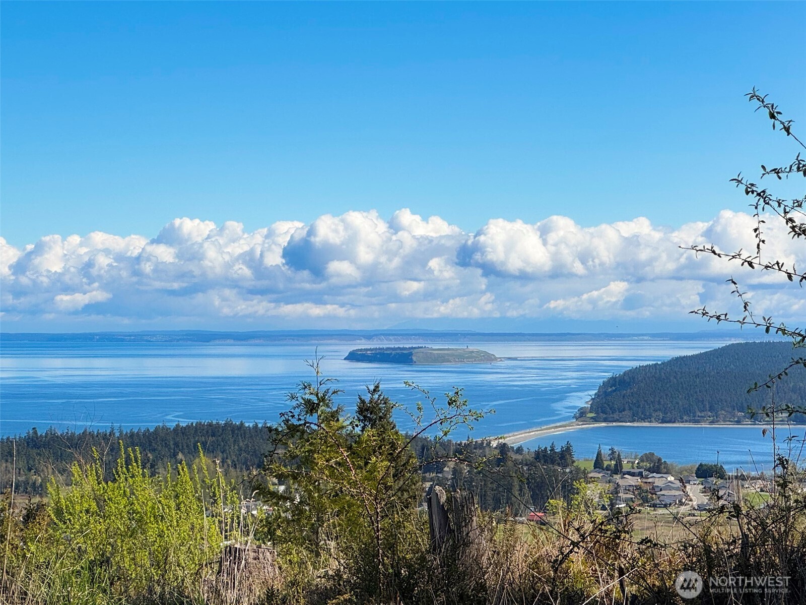 9999 Elk Pass Road Sequim, WA 98382 - Photo 24 of 40 a view of a lake in middle of forest