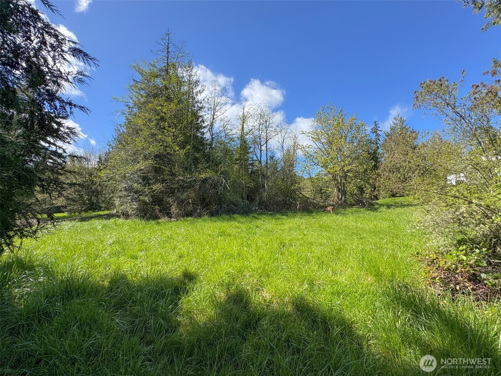 9999 Elk Pass Road Sequim, WA 98382 - Photo 28 of 40 a view of a yard of a house