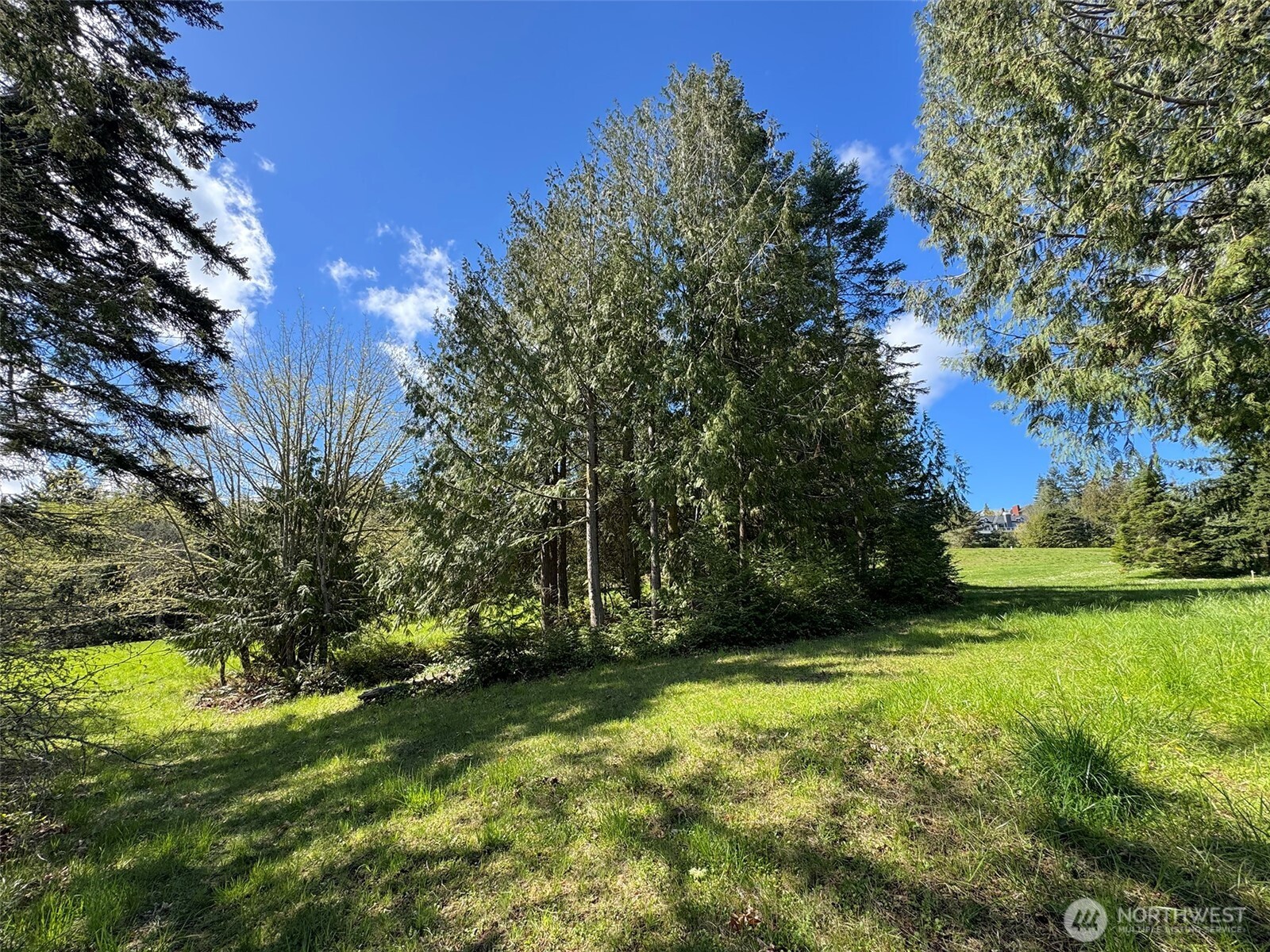 9999 Elk Pass Road Sequim, WA 98382 - Photo 29 of 40 a view of yard with green space