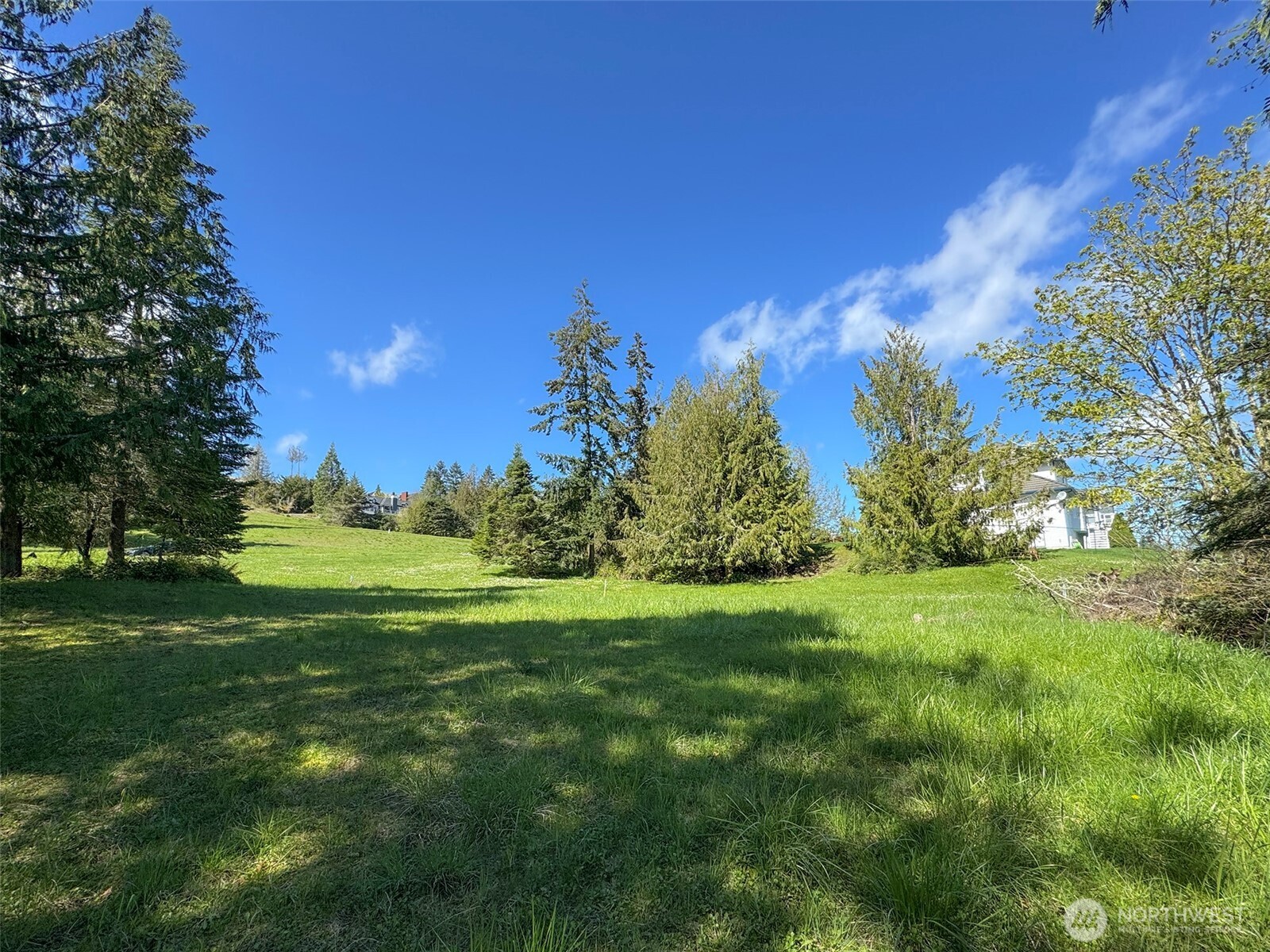 9999 Elk Pass Road Sequim, WA 98382 - Photo 30 of 40 a view of a field with an tree