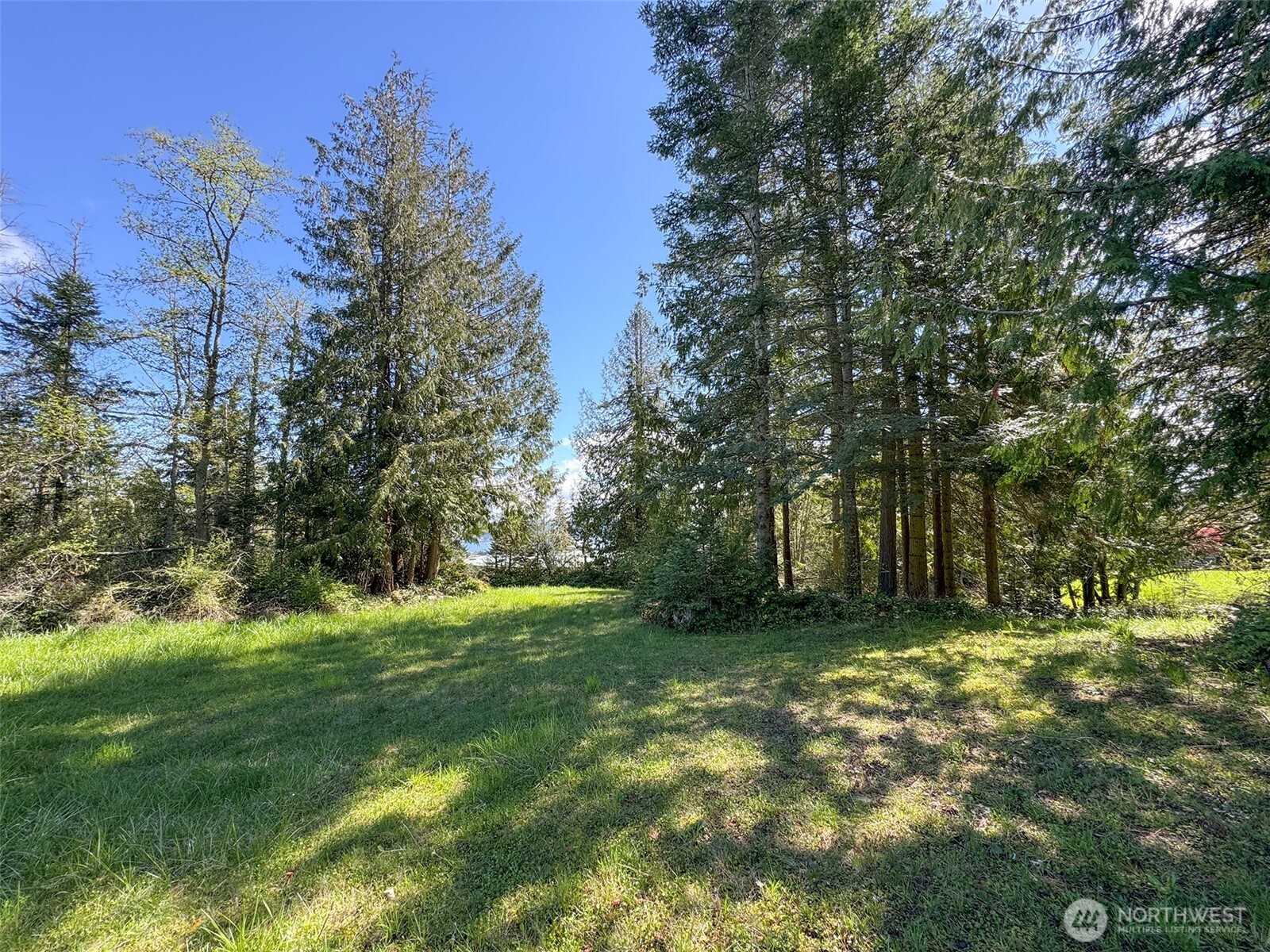 9999 Elk Pass Road Sequim, WA 98382 - Photo 35 of 40 a big yard with lots of green space and trees all around