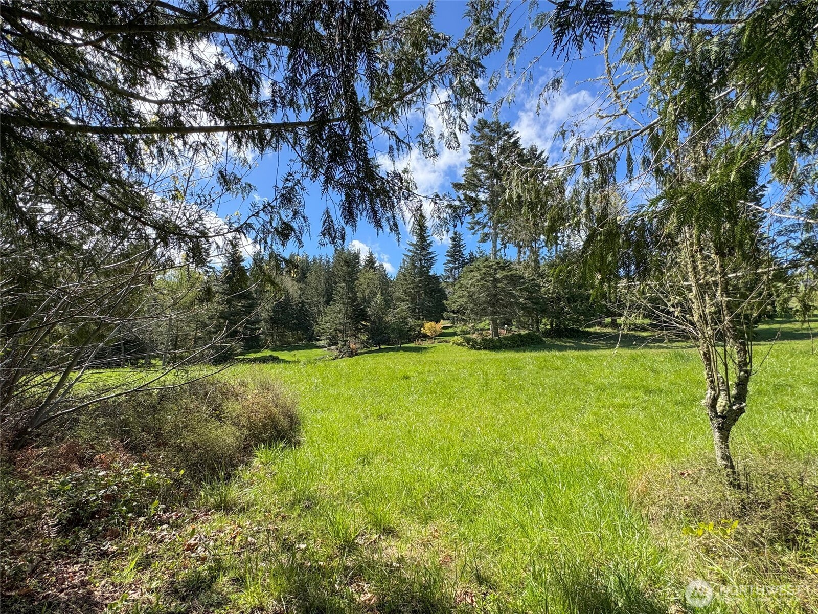 9999 Elk Pass Road Sequim, WA 98382 - Photo 36 of 40 a view of yard with green space