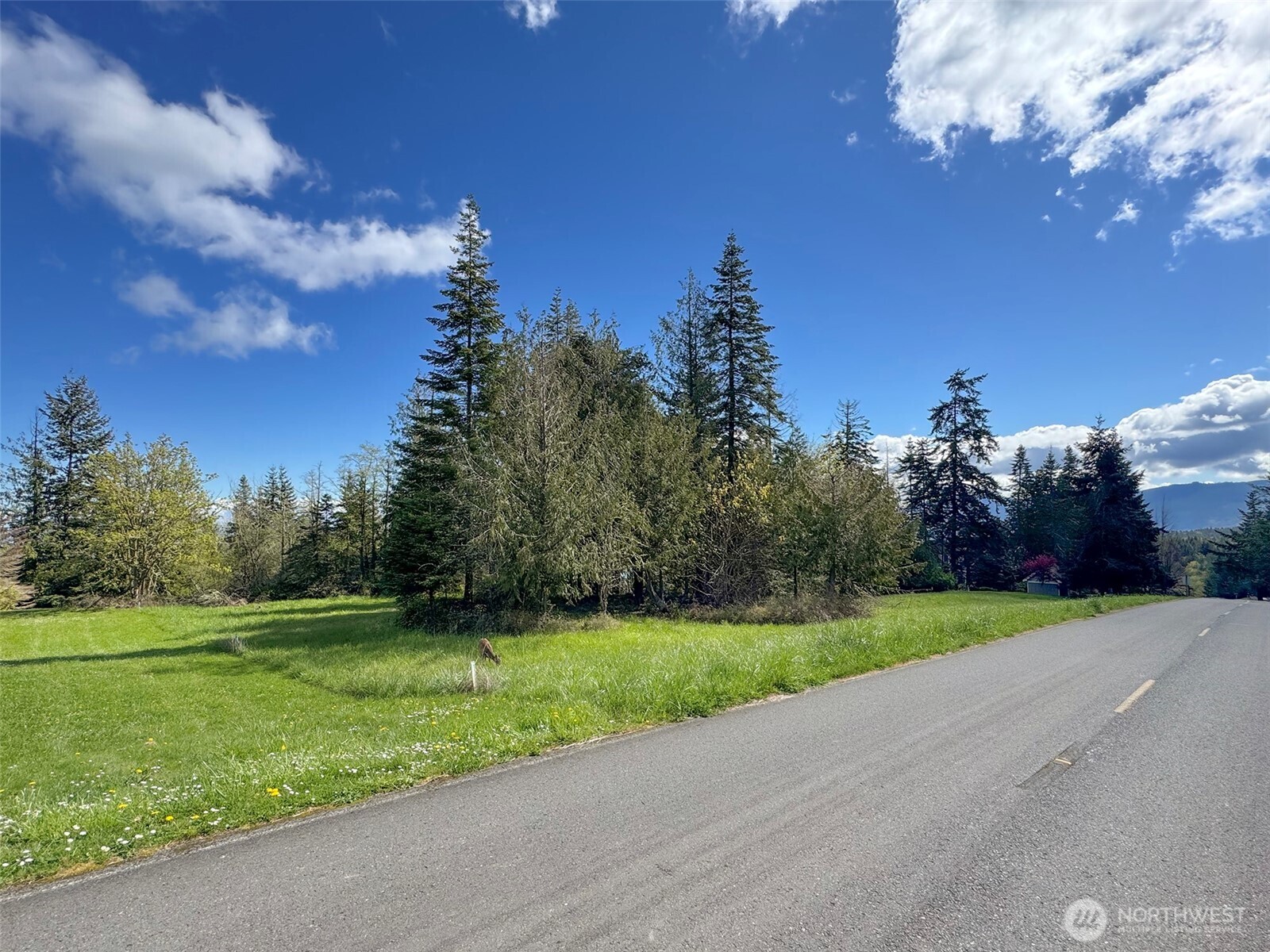 9999 Elk Pass Road Sequim, WA 98382 - Photo 37 of 40 a view of a golf course with a park